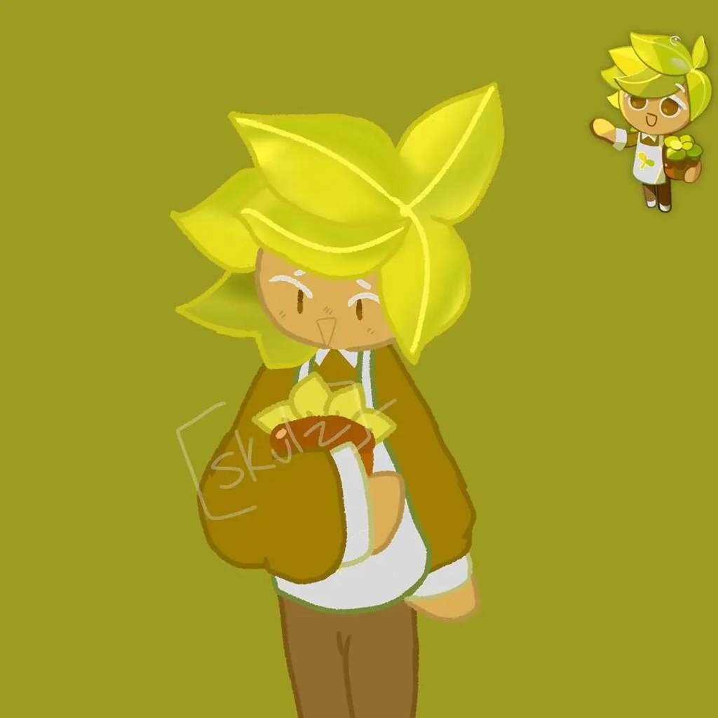 Herb Cookie *Cookie Run* Amino