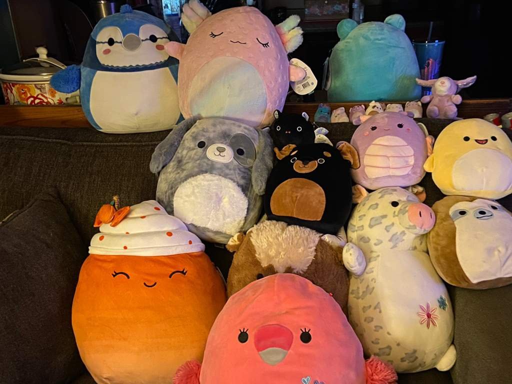 Went to a squish meet today and it came out successfully!! I got the