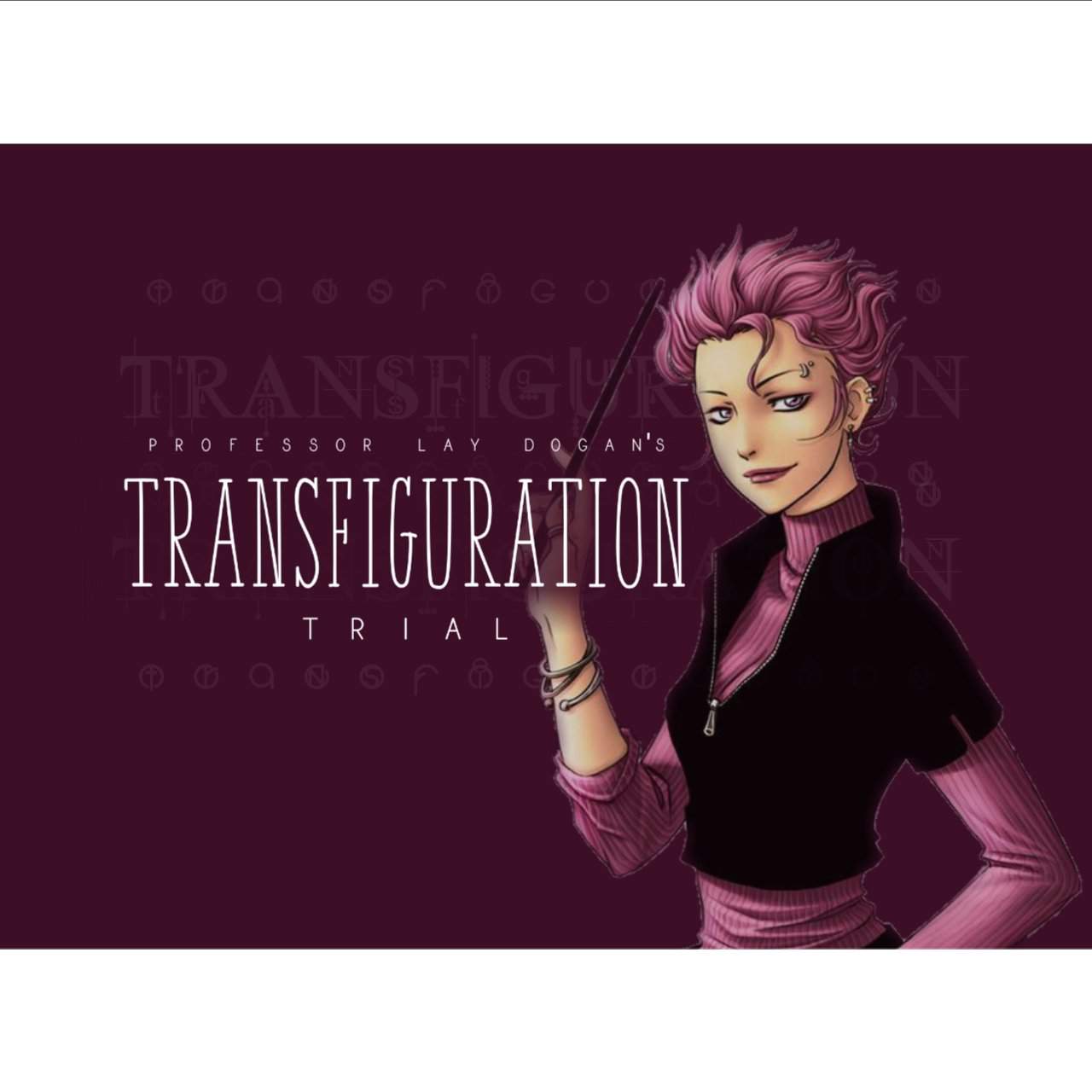 professor-dogan-s-transfiguration-trial-harry-potter-amino