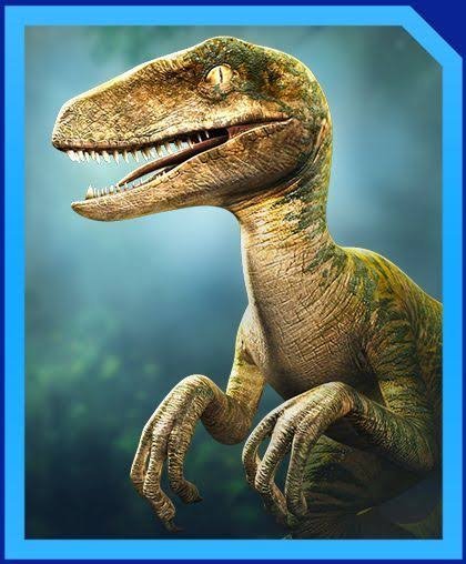 echo the velociraptor