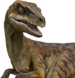 echo the velociraptor
