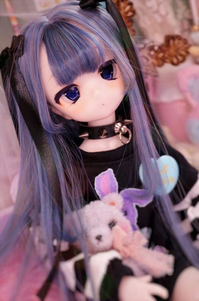 closed-selling-entire-th-folder-for-40-coins-toyhou-se-amino