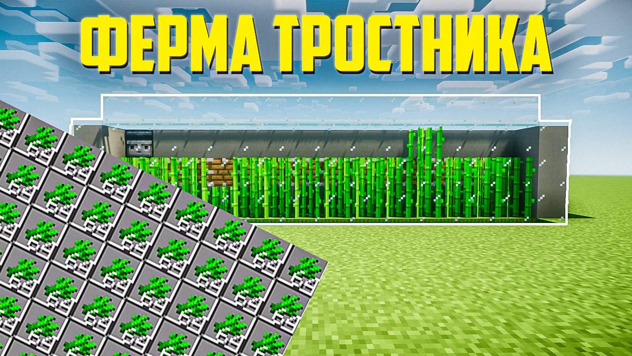 Автоферма тростника схема