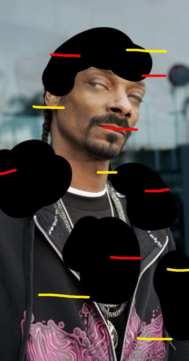 What happened to Snoop Dogg after the Pibby apocalypse? Learning with