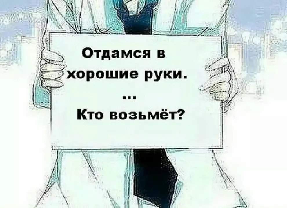 Отдамся в хорошие руки картинки