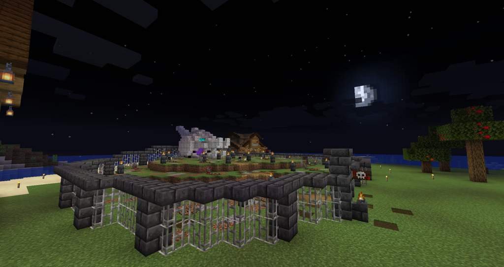 Lithium, sodium and phosper Minecraft Amino