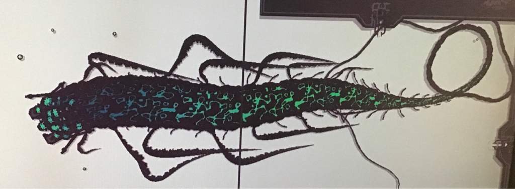 Creatures of Sonaria X Rainworld part 2 Leviathan Kohikii ☔Rain