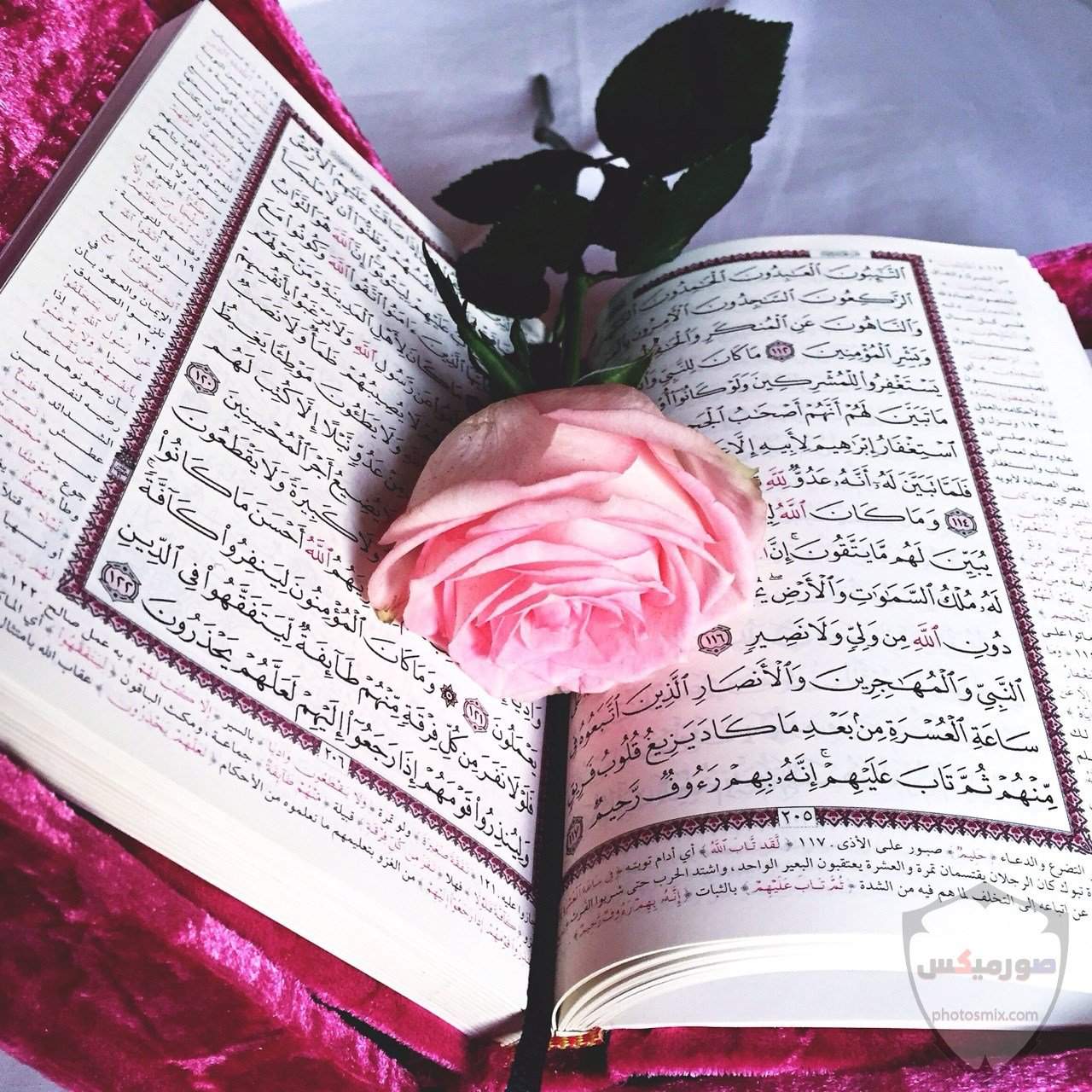 Коран и роза