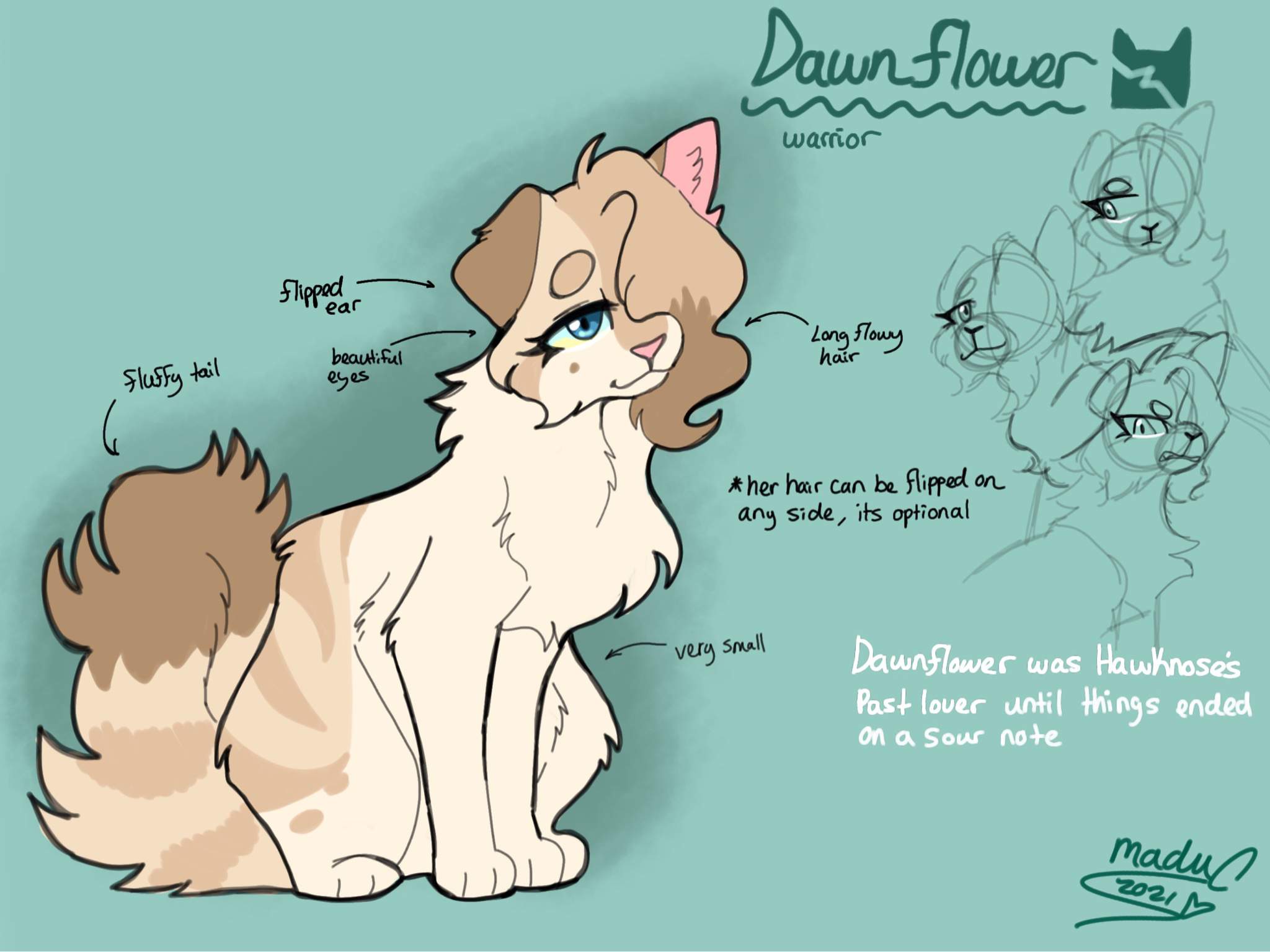 Dawnflower 🌼 Wiki Warriors Amino.