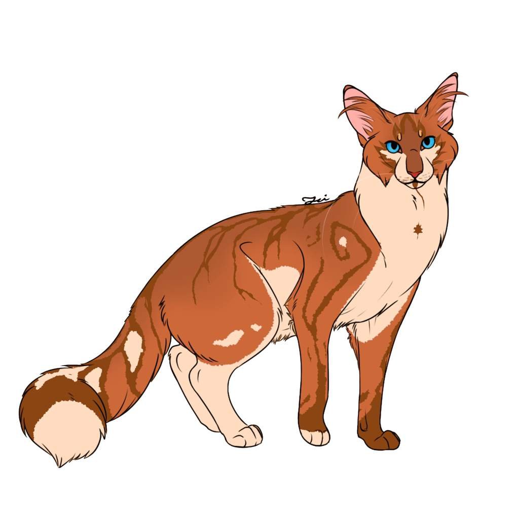 Maplestar Wiki Warriors Curse of the Forest Amino