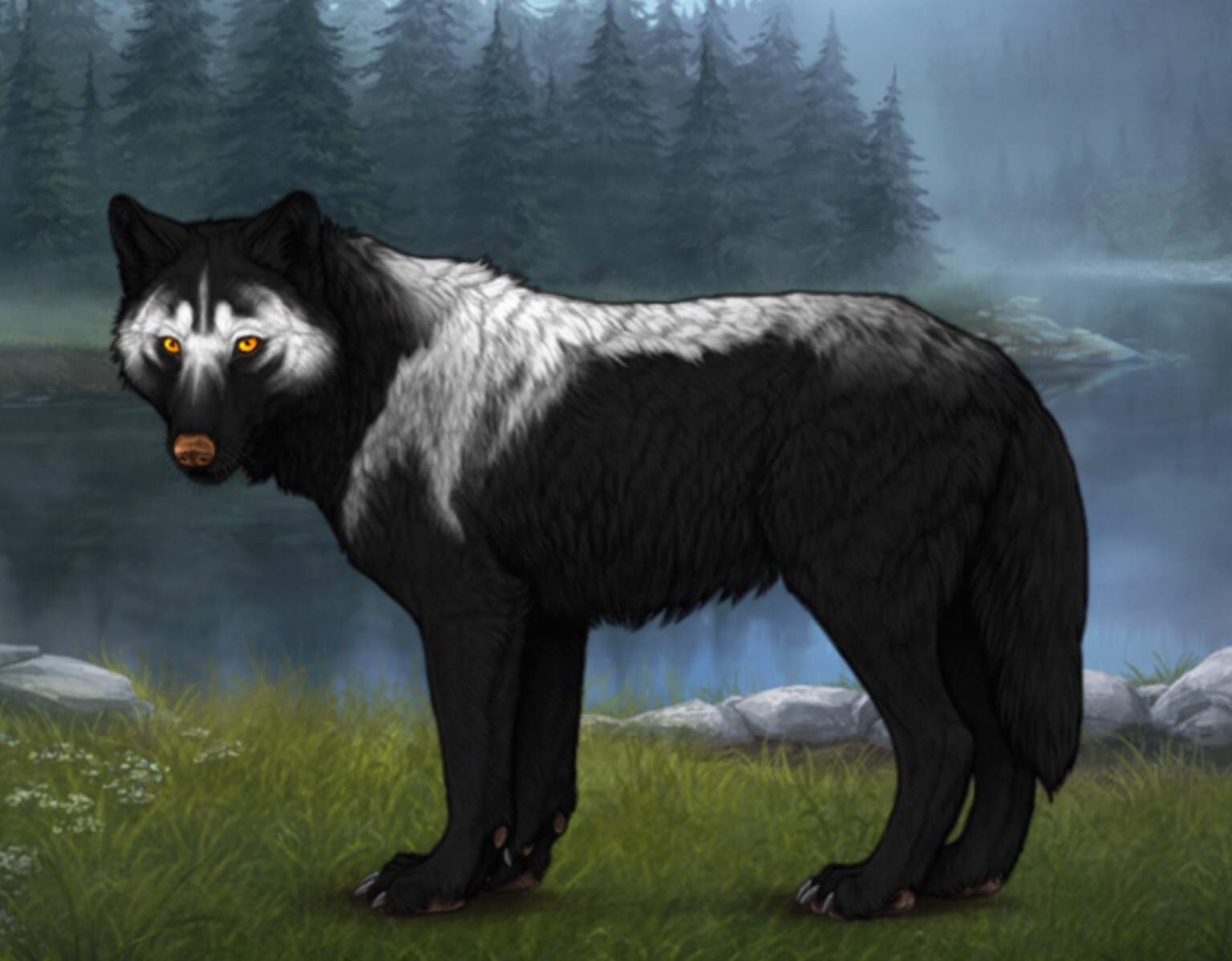 new-wolves-name-suggestions-wolf-amino-amino