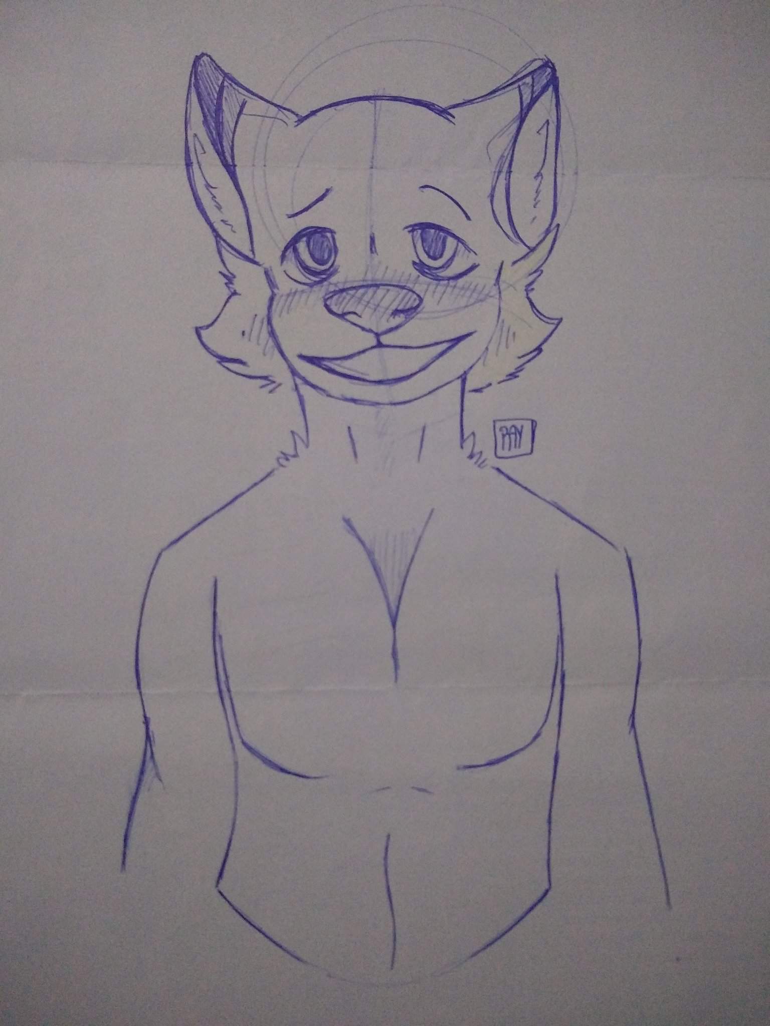 Muestra De Boceto Practicando Anatom A Y Furros Furry Espa Ol Amino