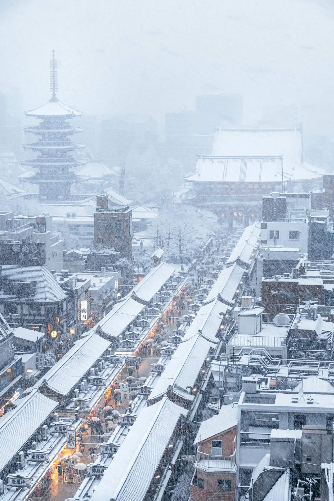 Префектура Токио снег