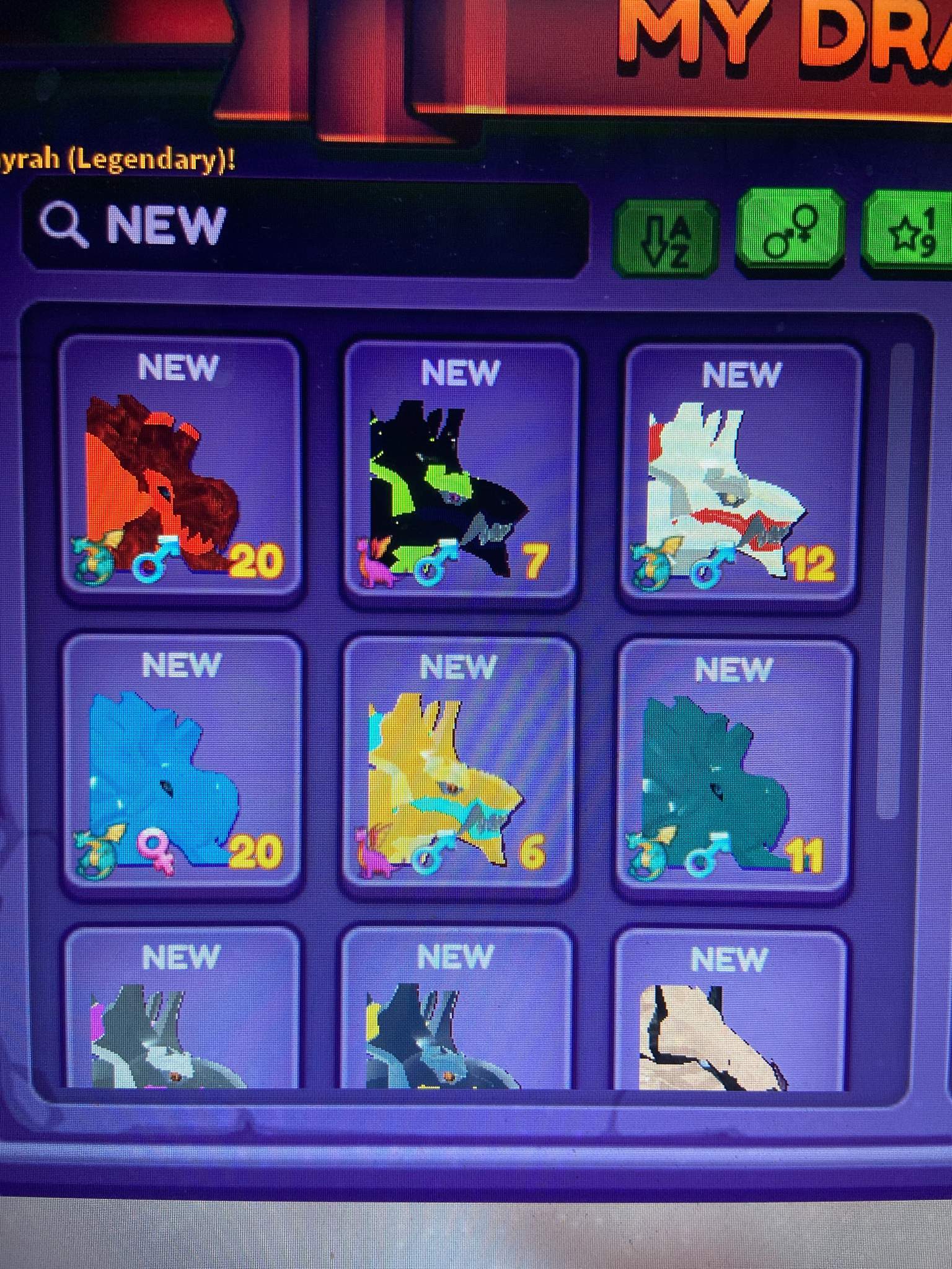 Got Some New Dragons🤍 Roblox Dragon Adventures Amino 