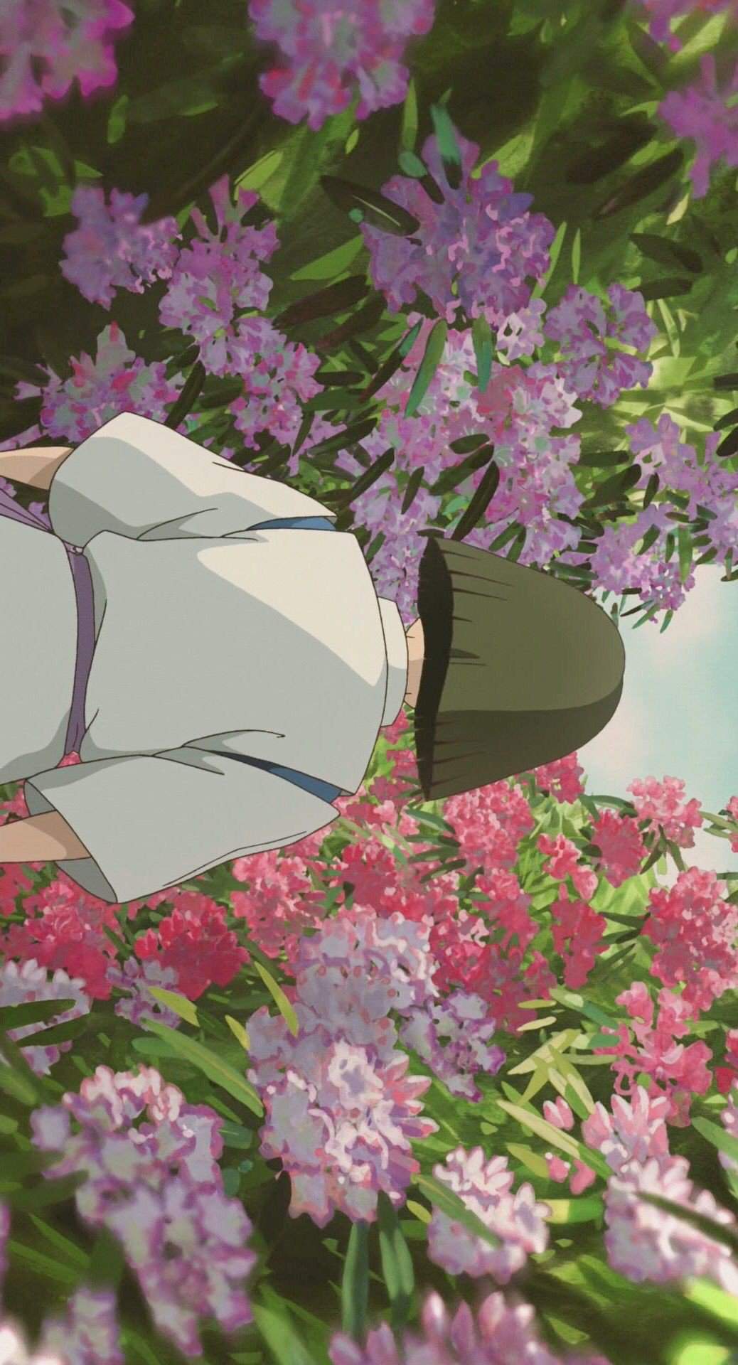 Fondos De Pantalla El viaje de Chihiro | •Anime• Amino