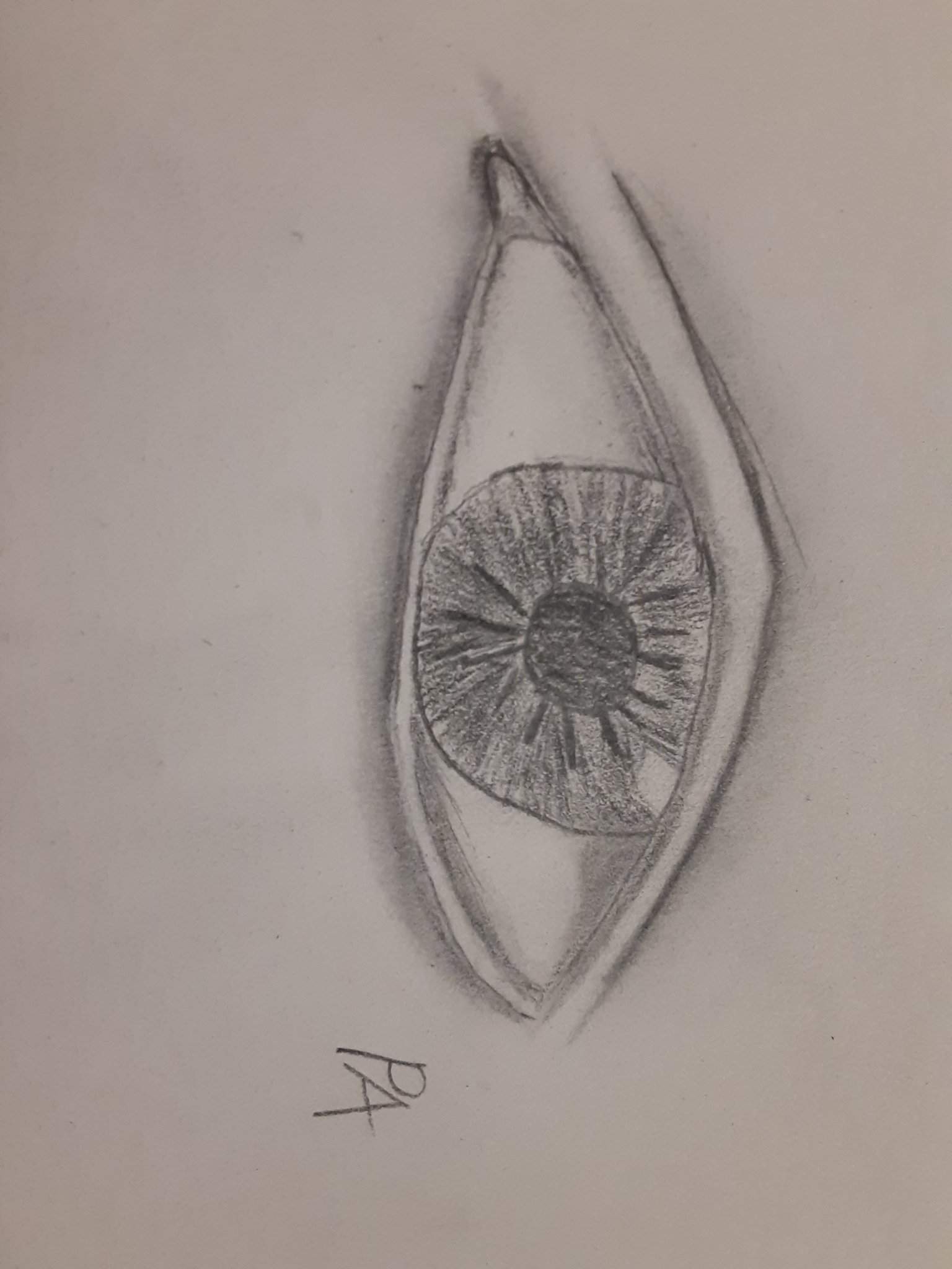 My Attempt At Drawing An Eye Pencil Drawing Amino 