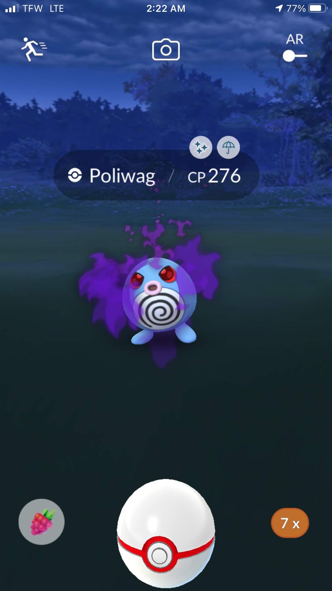 Another Shiny Shadow Shiny Poliwag Pokemon GO Amino