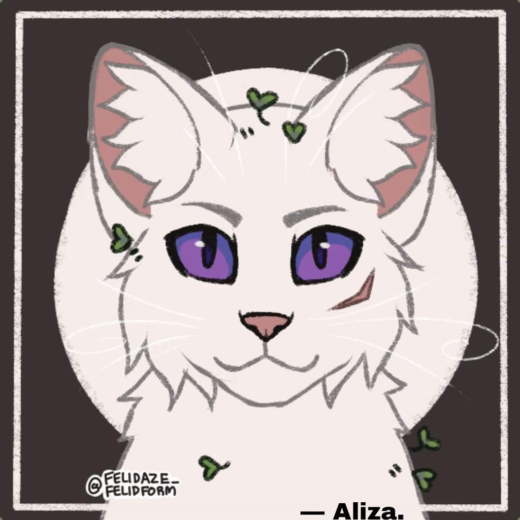 𝕬𝖈𝖙 1 & 2 | Wiki | •° Коты-Воители •° Amino