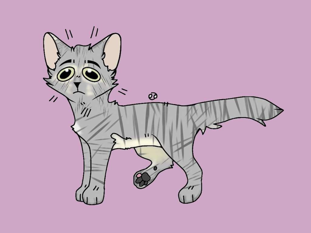 3&4 | Wiki | •° Коты-Воители •° Amino
