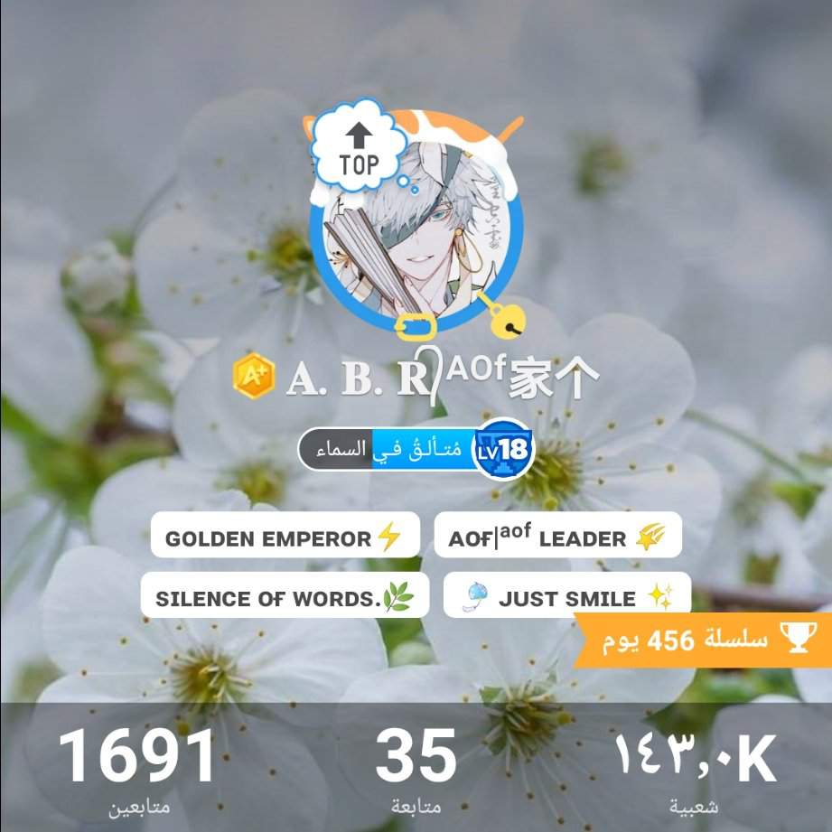 Memory Profile Wiki Amino