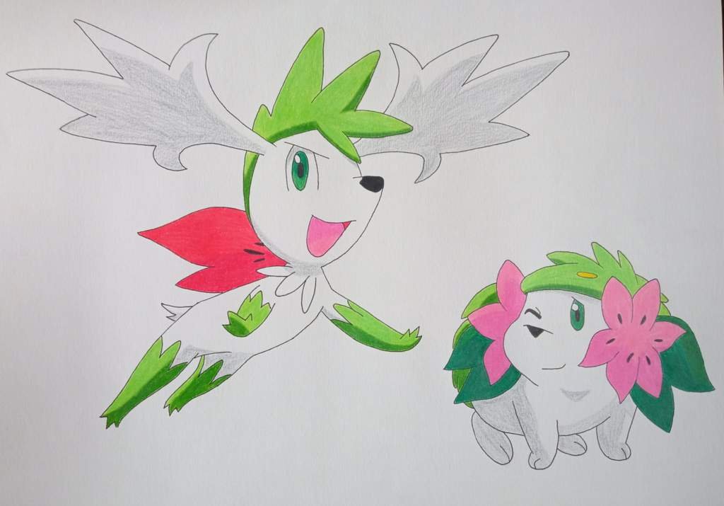 🎨 DRAWING 014 🎨 | Pokémon Amino