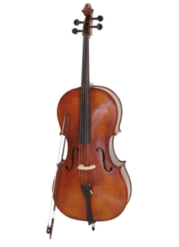 Cello Wiki Takarazuka 宝塚 ファンクラブ Amino