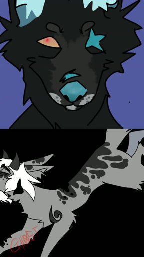 amino-spiritedfurs-5e117db0