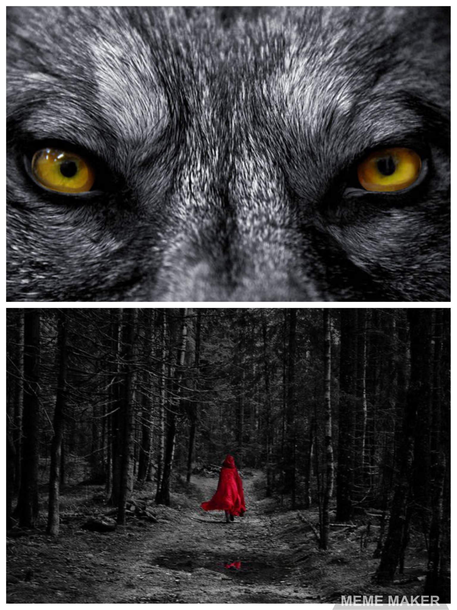 the-wolf-s-red-riding-hood-wiki-roleplay-amino