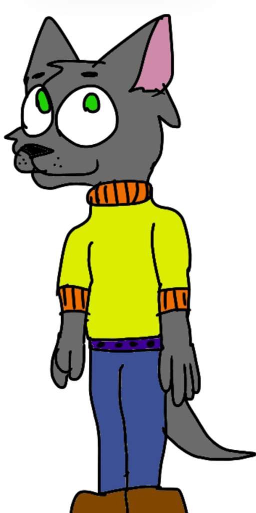 The fact they both wear the same clothes… Furry Amino