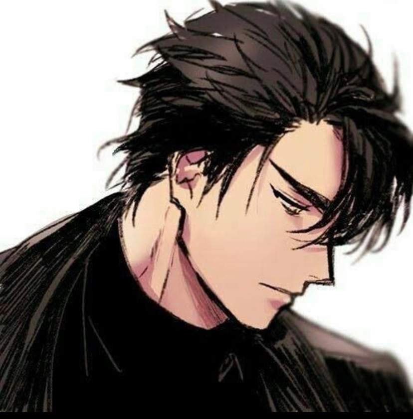 The Lawyer Wiki Anime Amino