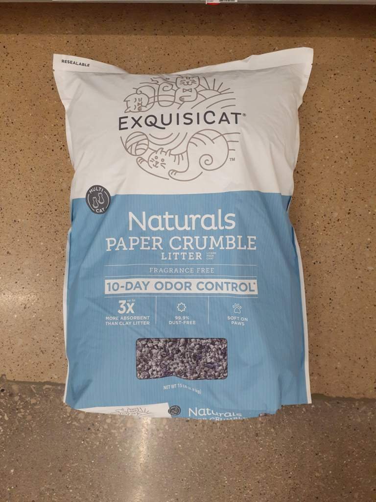 Exquisicat review Wiki Cats Amino