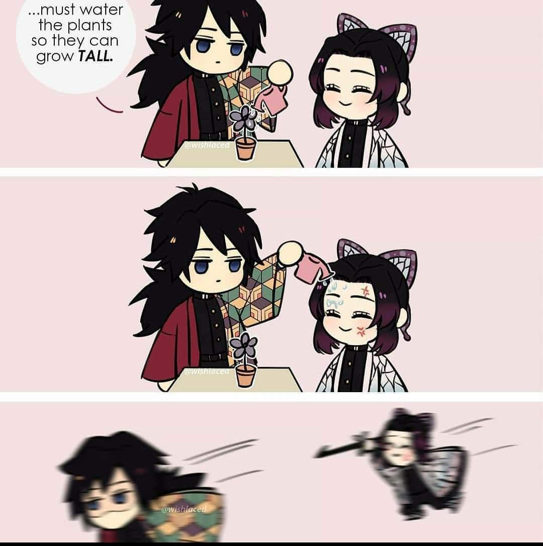 Giyuushinobu Daliy Memes Day 1 Demon Slayer Kimetsu No Yaiba Amino 6460