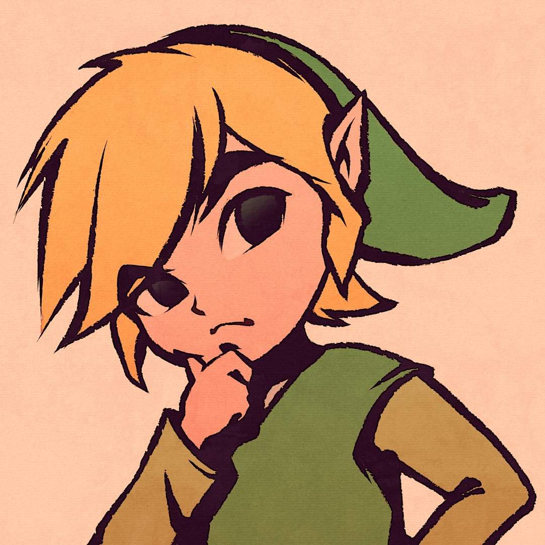 Toon Link Pfp Zelda Amino