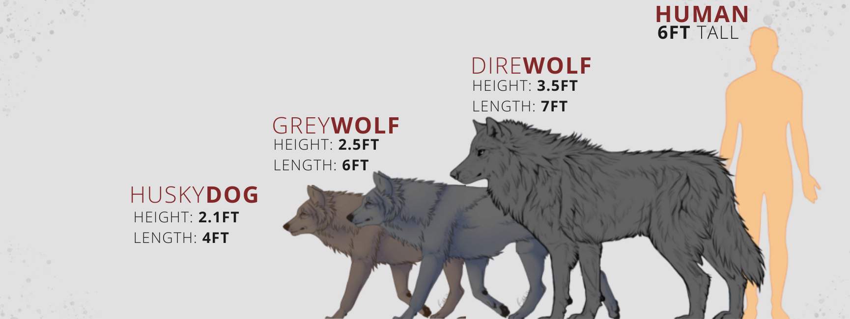 Dire Wolf | Wiki | Therian Amino