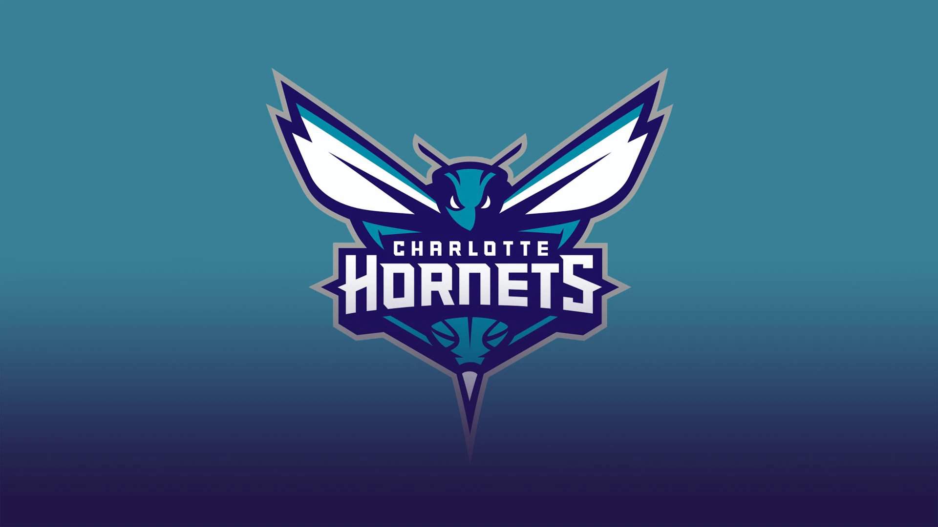 The Young And Dynamic Charlotte Hornets 