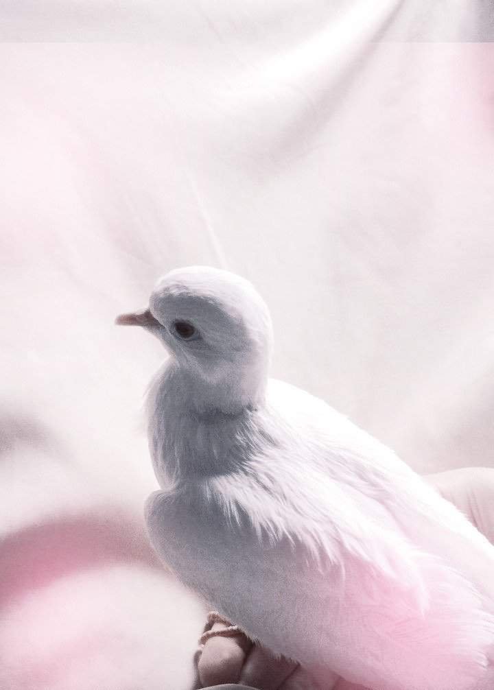 Касса | Wiki | оформление♡ Amino