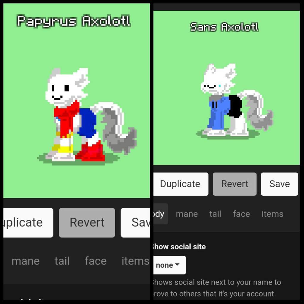 Axolotl Pony Town Amino