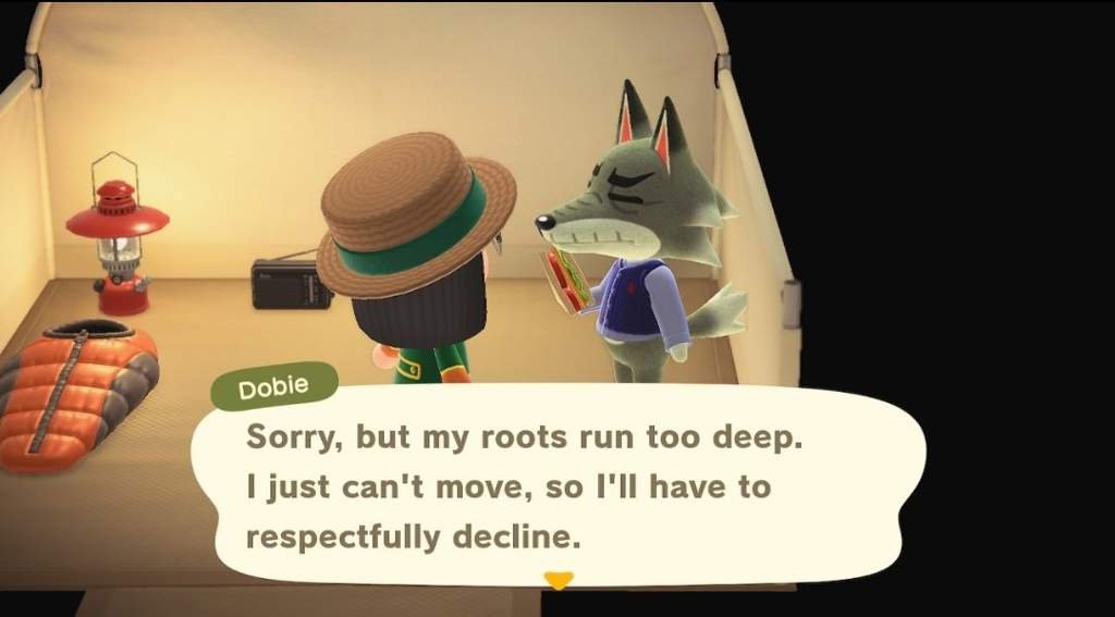 Anyone know how to make a campsite villager move in? Animal Crossing