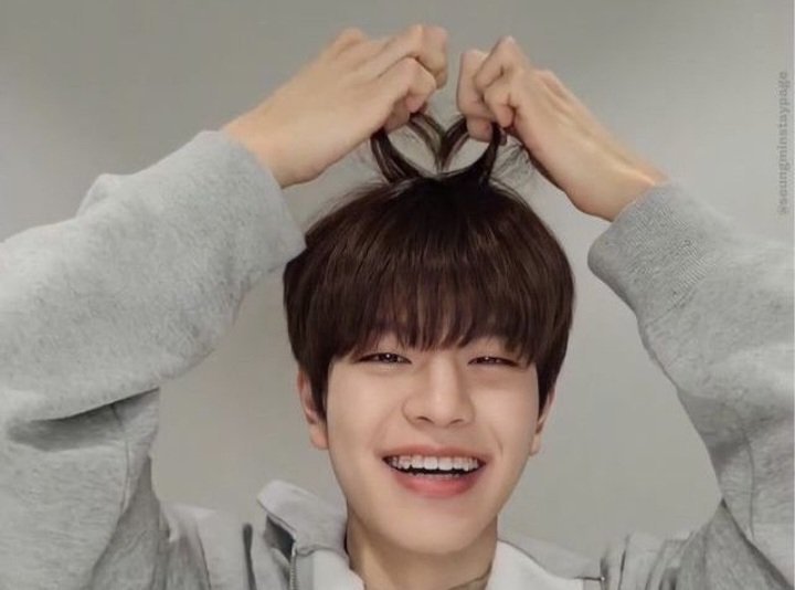 30 Day Bias Challenge Day 9 ( Seungmin Aegyo) | Stray Kids Amino