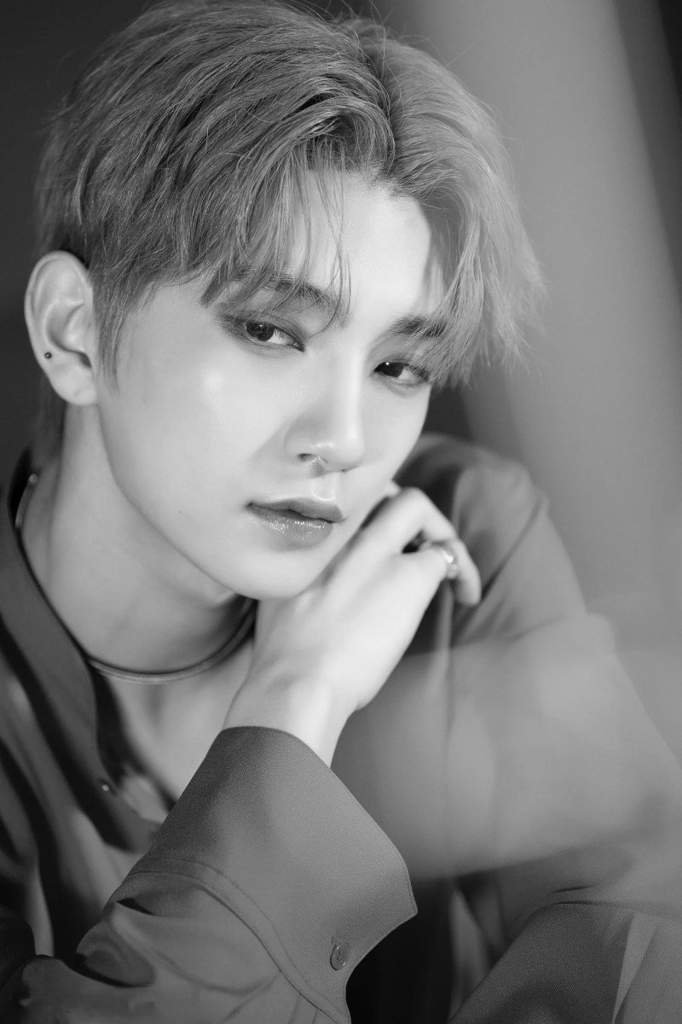 Joshua Hong Wiki Carat 캐럿 Amino