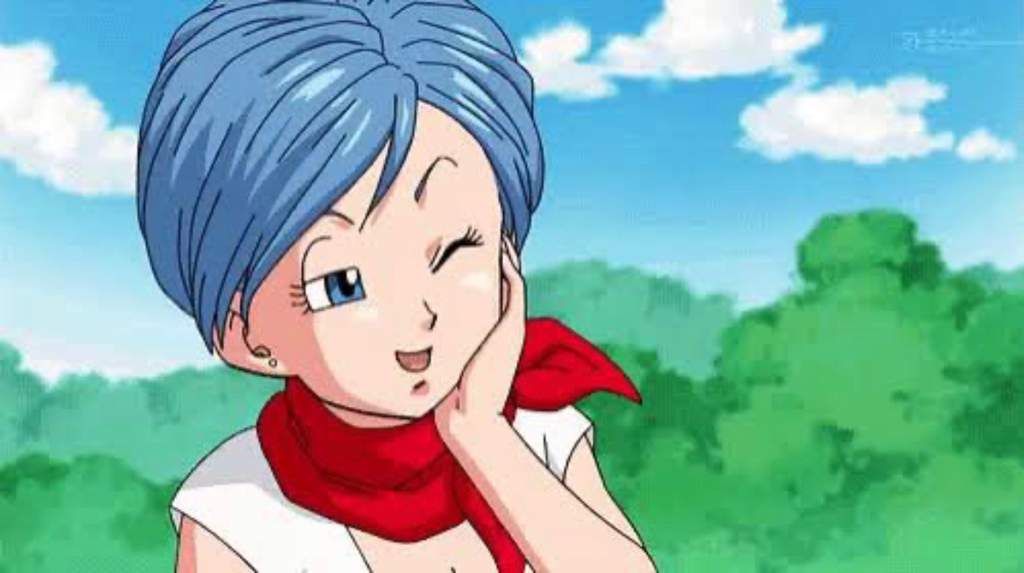 Bulma pov