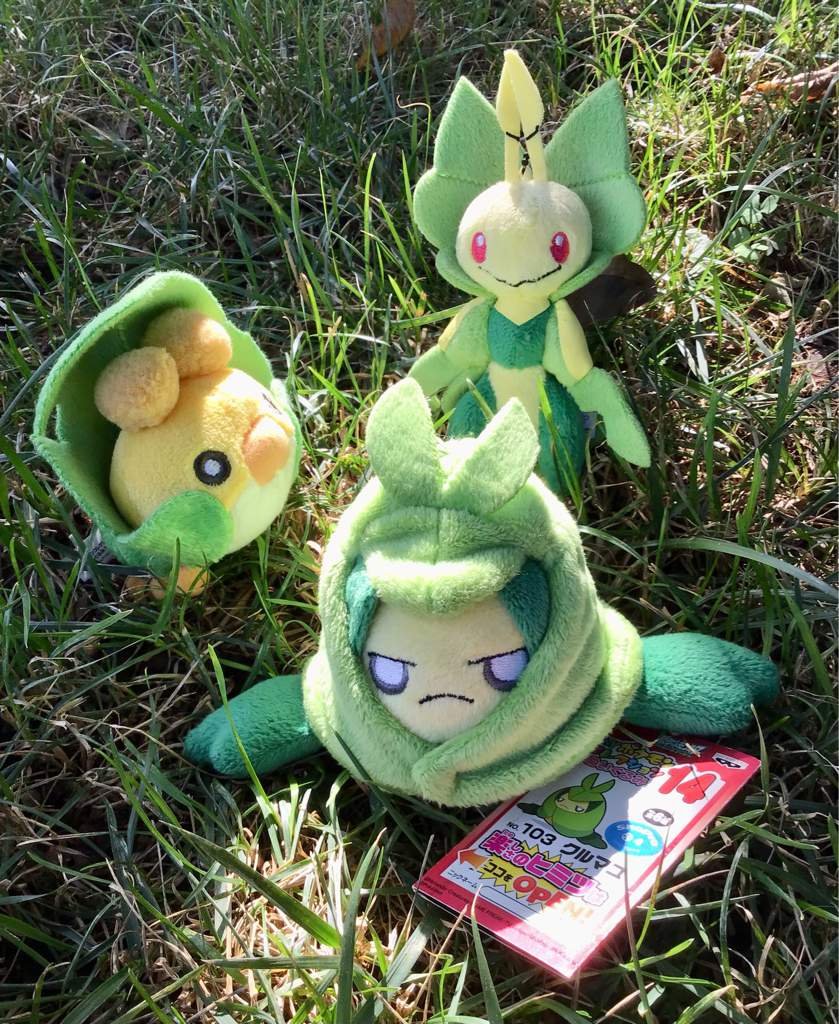 Kwik Plushie Review Sewaddle, Swadloon, Leavanny Pokémon Amino