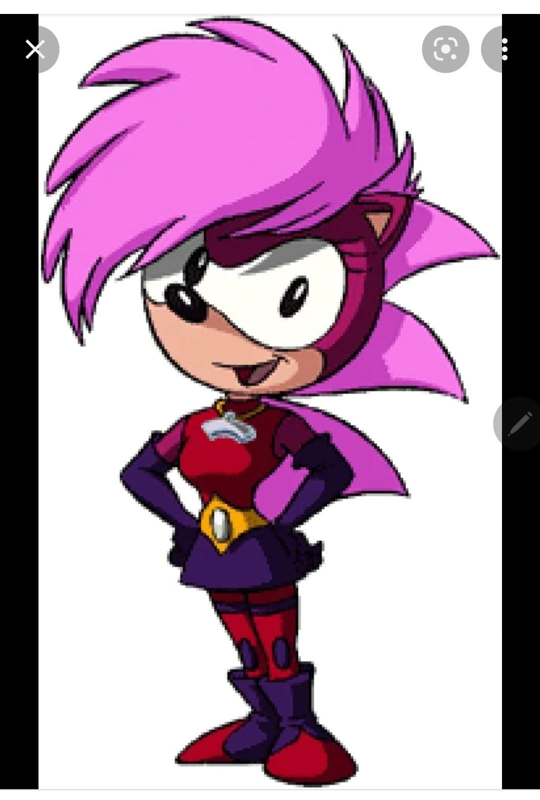 Sonia Hedgehog Cartoons Universe Amino Amino