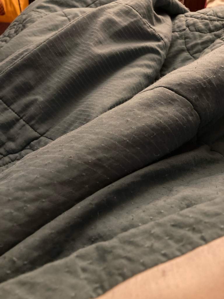 hiding under blankets Wiki LGBT+ Amino