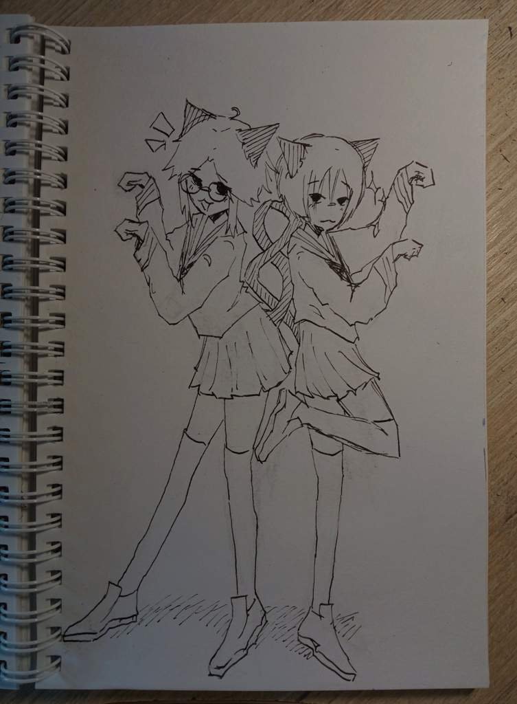 Кошко девочки:3 | 🎨Рисование Amino