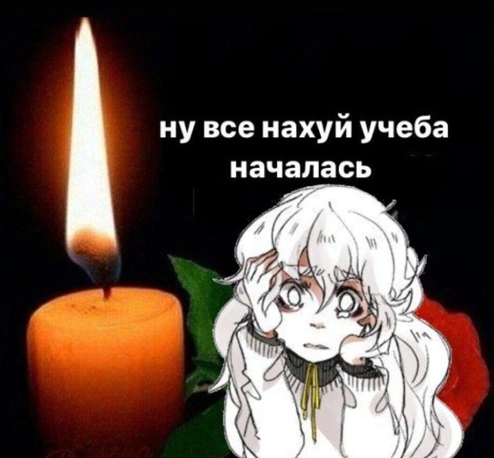 v Привет,Шарлотта v Amino