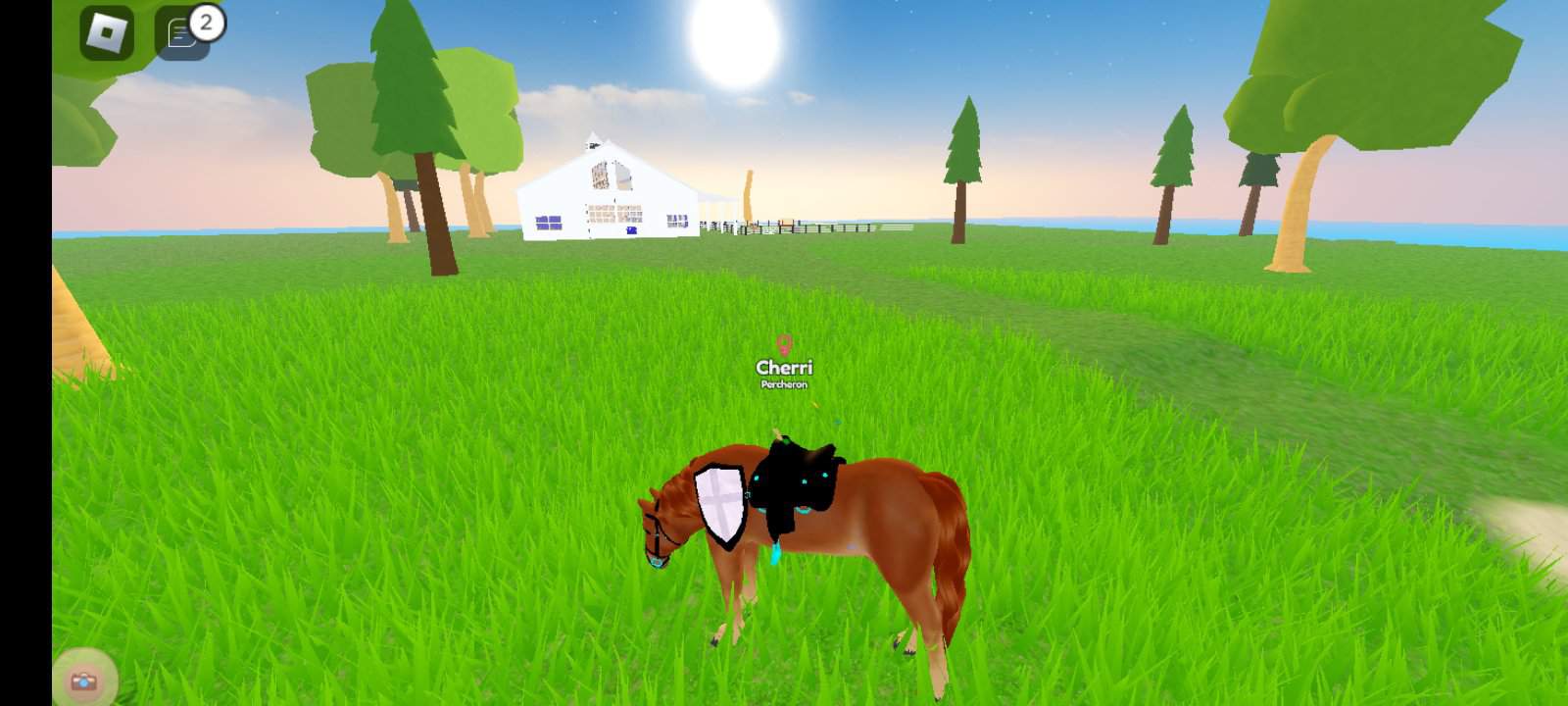 OHHHH MYYYY GAAAHHHH Wild Horse Islands Roblox Amino