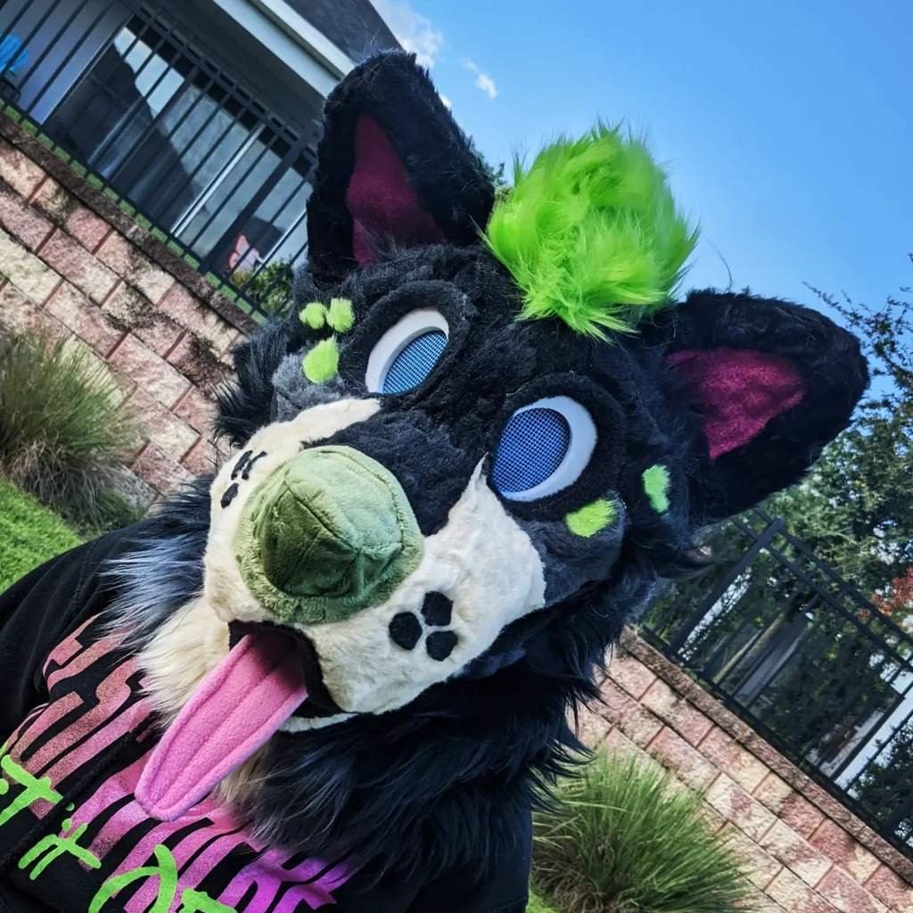 Meet Oliver! A Finished Commission | Furry Amino