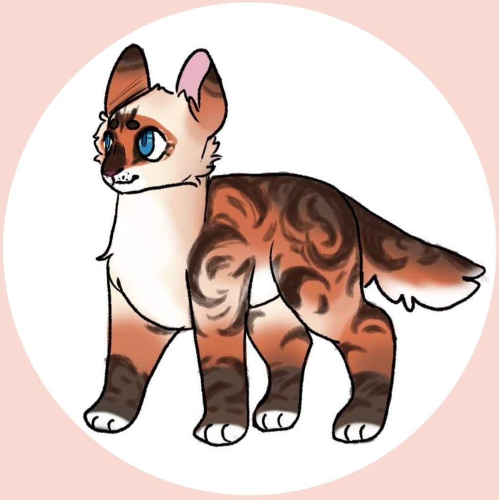 What Does Rosemary Do To Cats at Ralph McFadden blog