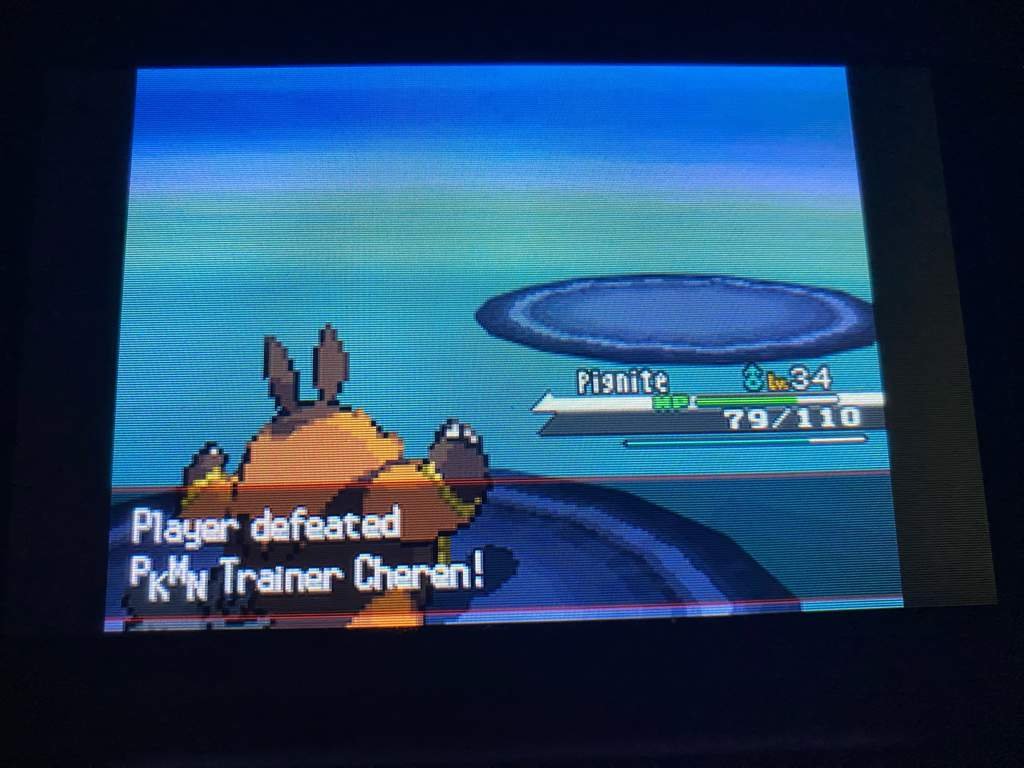 Pokémon black fire monotype run part 3 Pokémon Amino